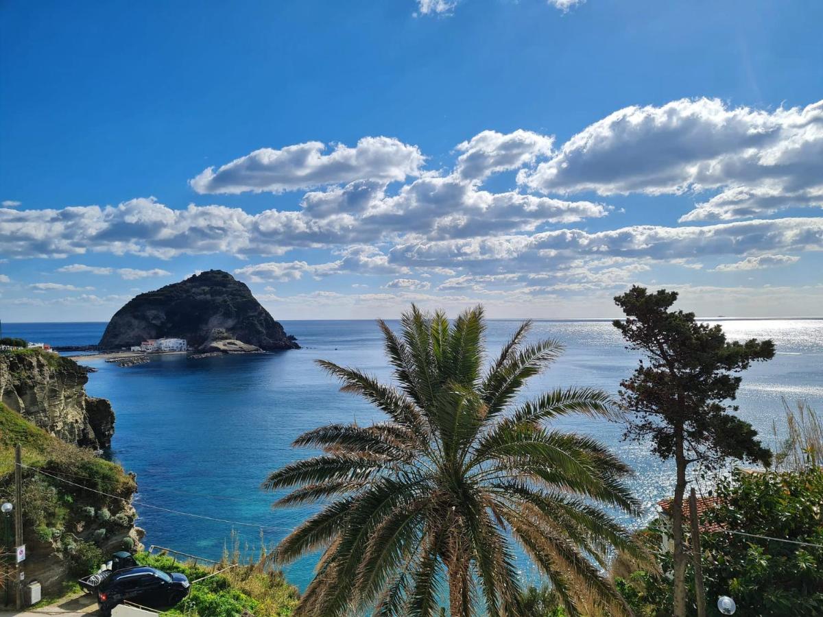 Villa Bina Sea Hotel Sant'Angelo (Isola d'Ischia) Exterior foto