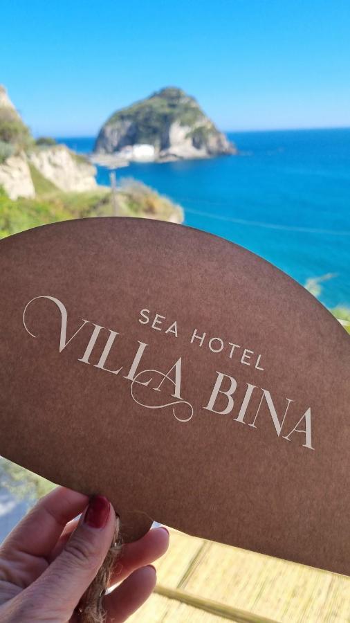 Villa Bina Sea Hotel Sant'Angelo (Isola d'Ischia) Exterior foto